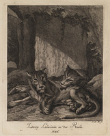 KG 01074
          <br/>
          Entwurf einiger Thiere. Zweyter Theil. (20 bladen)
          <br/>
          <em>Ridinger, Johann Elias (1698-1767)</em>